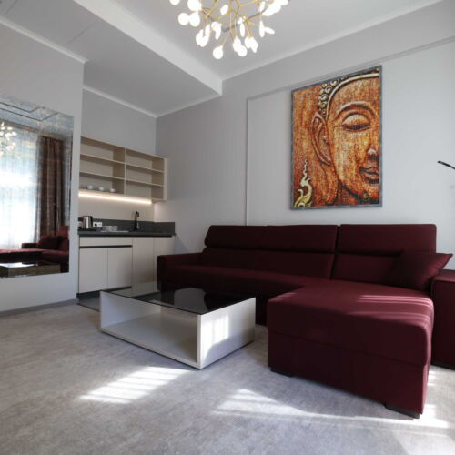 Camera twin junior cu chicinetă proprie (se poate solicita pat suplimentar)