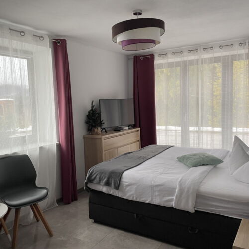 Studio Apartman s manželskou postelí s 1 ložnicí s výhledem do zahrady (s možností přistýlky)