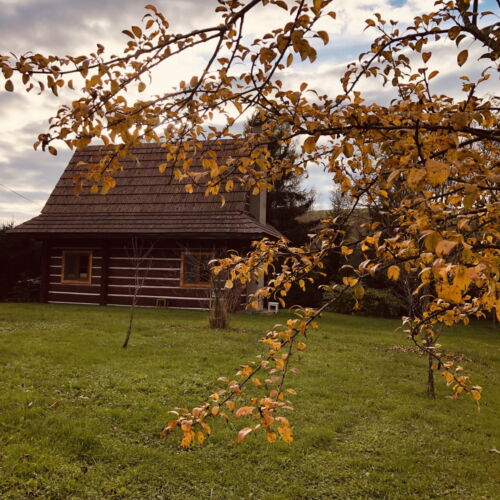 Domek drewniany 5-osobowy 