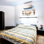 Apartament 2-osobowy Deluxe z klimatyzacją z 1 pomieszczeniem sypialnianym