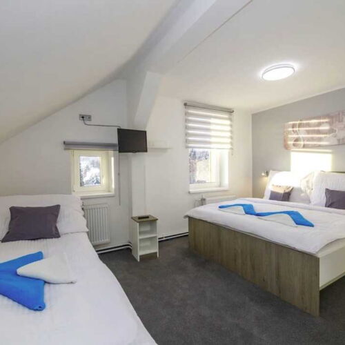 Pokoj se sprchou  pro 3 os.