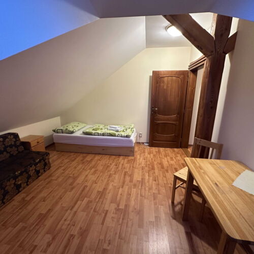 Einzelzimmer mit Dusche (Zusatzbett möglich)