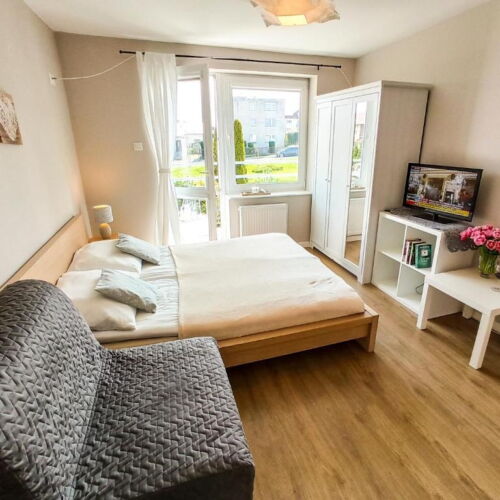 Apartament cu 1 camera pentru 3 pers.