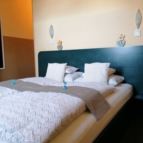 Camera dubla standard