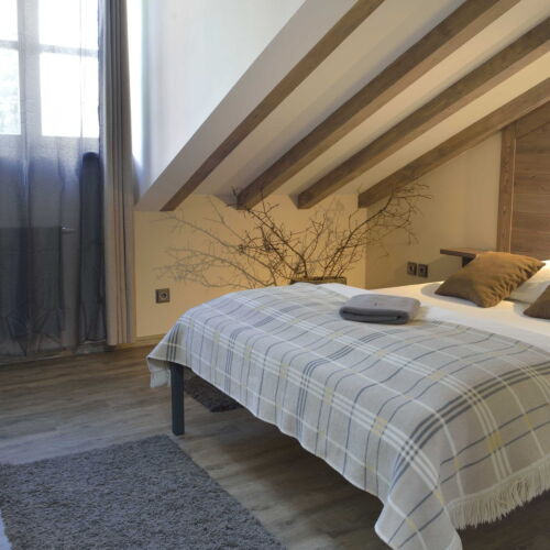 Camera twin la mansardă cu duș