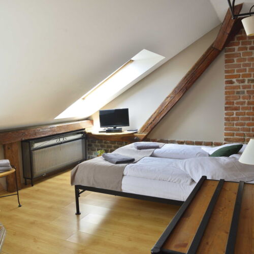 Camera twin la mansardă cu duș