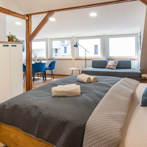 Apartman s klimatizací se sprchou s manželskou postelí s 1 ložnicí (s možností přistýlky)