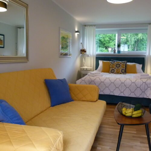 Apartament 4-osobowy z 1 pomieszczeniem sypialnianym