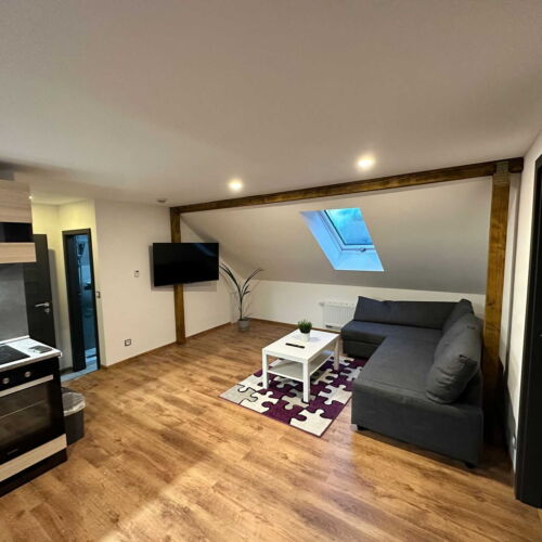 Superior Apartman se sprchou pro 4 os. (s možností přistýlky)