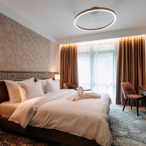 Camera dubla standard