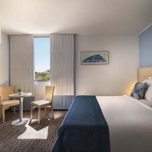 Classic Pokoj s manželskou postelí s výhledem na park