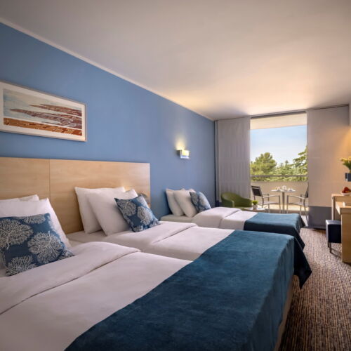 Pokoj s balkónem pro 2 os. s výhledem na park