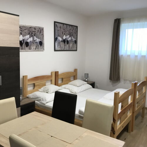 Apartament cu duș cu grădină cu 1 camera pentru 6 pers.