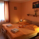 Klimatiziran Sa tuš kabinom soba sa dva odvojena kreveta (za 2 osoba(e))