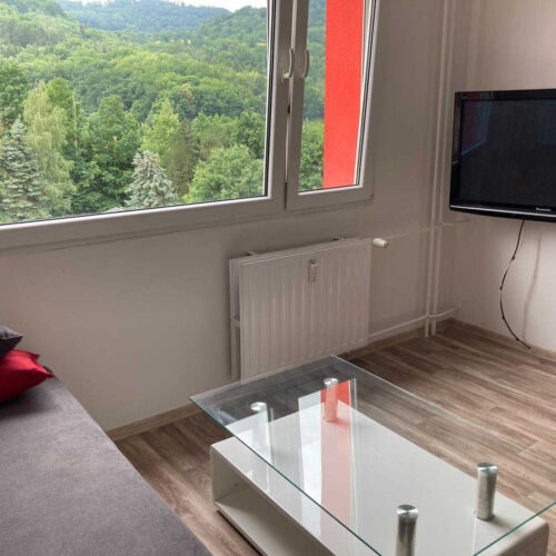 1-Room Balcony Apartment for 2 Persons with Shower (extra beds available)