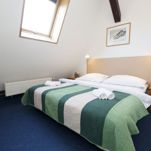 Economy Pokoj pro 2 os. s výhledem na les