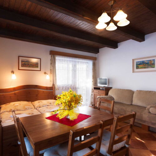 Pokój 3-osobowy Studio z aneksem kuchennym (możliwa dostawka)