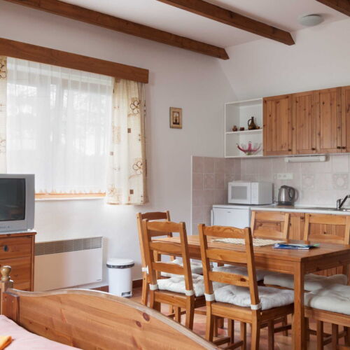 Pokój 4-osobowy Studio z aneksem kuchennym