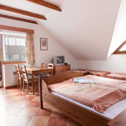 Pokój 4-osobowy Studio z aneksem kuchennym