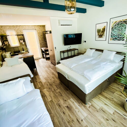 Apartament cu vedere spre rau cu vedere spre munte cu 1 camera pentru 4 pers.