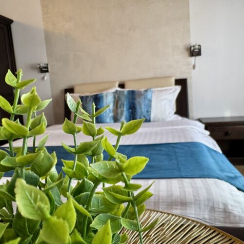 Camera dubla premium