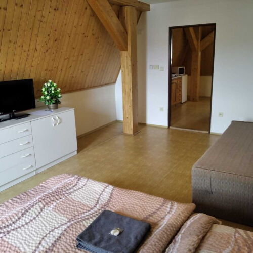 Apartament premium cu duș cu 1 camera pentru 2 pers. (se poate solicita pat suplimentar)