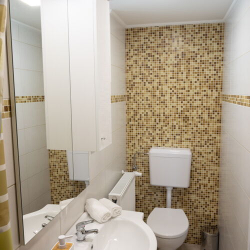 Ground Floor 1-Room Apartment for 3 Persons ensuite