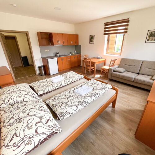 Apartament 2-osobowy z prysznicem z aneksem kuchennym (możliwa dostawka)