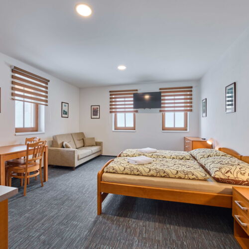 Apartament 2-osobowy z prysznicem z aneksem kuchennym (możliwa dostawka)