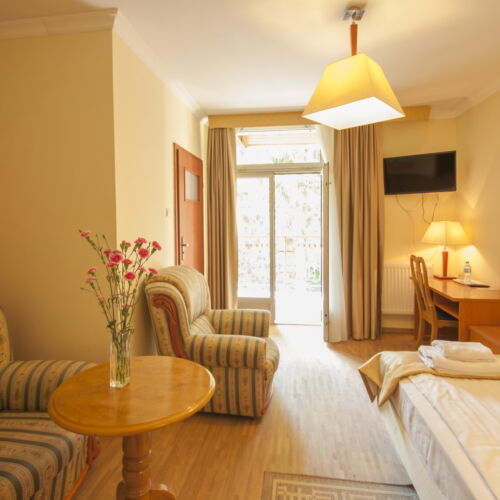 Pokój 1-osobowy Standard z widokiem na las