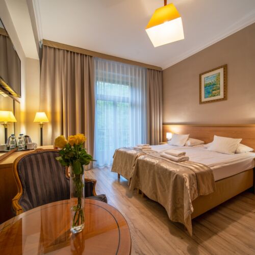 Pokój 2-osobowy Standard z widokiem na rzekę