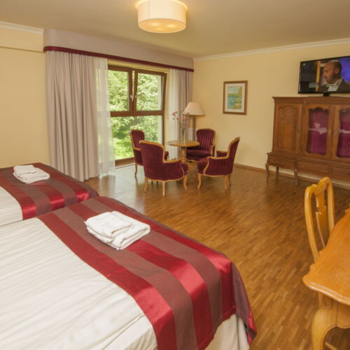 Pokój 2-osobowy Deluxe z widokiem na rzekę