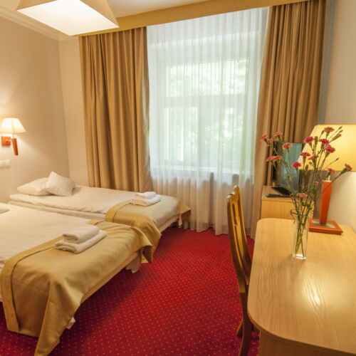 Pokój 2-osobowy Economy z widokiem na las