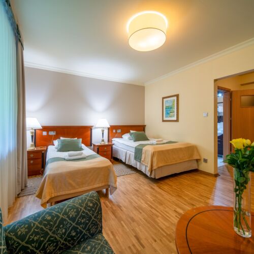 Pokój 2-osobowy Komfort z widokiem na las