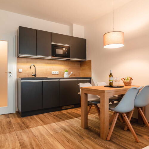 Economy Apartman se sprchou pro 2 os. (s možností přistýlky)