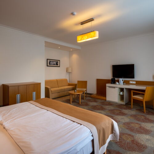 Camera twin superior cu vedere spre oraș (se poate solicita pat suplimentar)