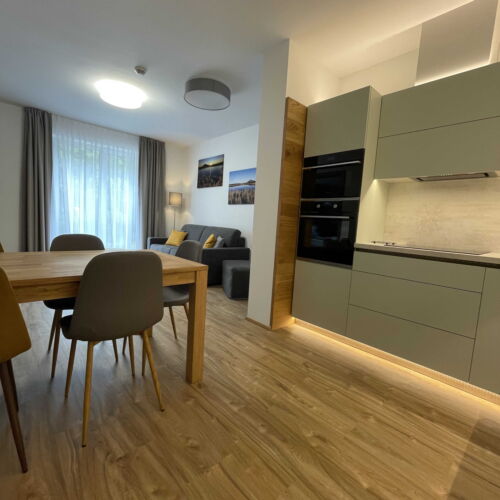 Apartman se sprchou s vlastní kuchyní s manželskou postelí s 1 ložnicí (s možností přistýlky)