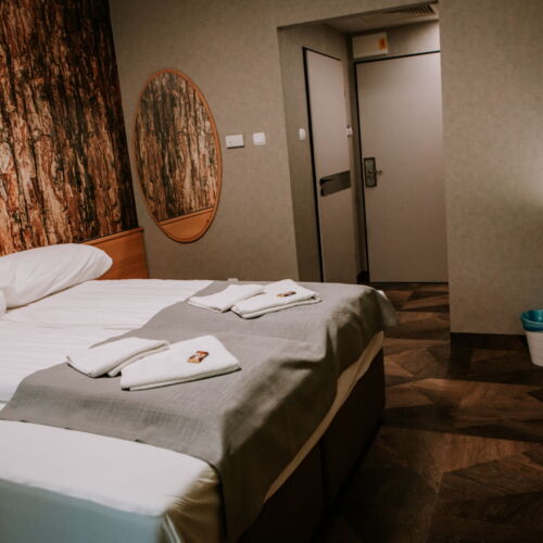 Superior Balcony Twin Room