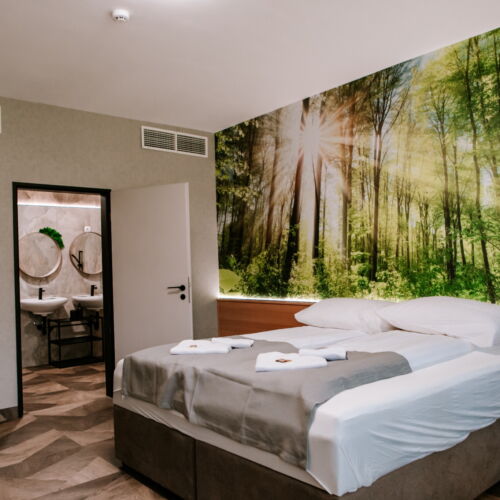 Superior 2-Room Balcony Apartment for 4 Persons