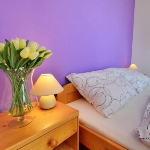 Pokoj se sprchou se společnou kuchyňkou s manželskou postelí