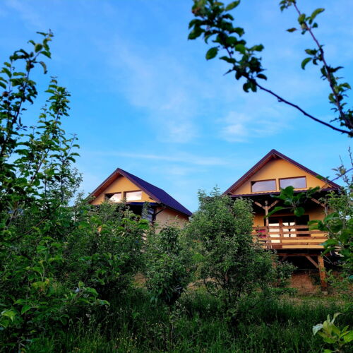 Chalet for 3 Persons with Terrace