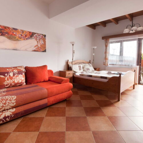 Apartament 4-osobowy Studio z prysznicem z 1 pomieszczeniem sypialnianym