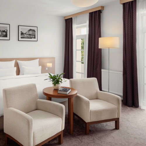 Camera dubla classic cu vedere spre parc