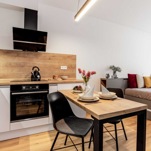 Apartman se sprchou s privátní koupelnou mimo apartmán pro 2 os. (s možností přistýlky)