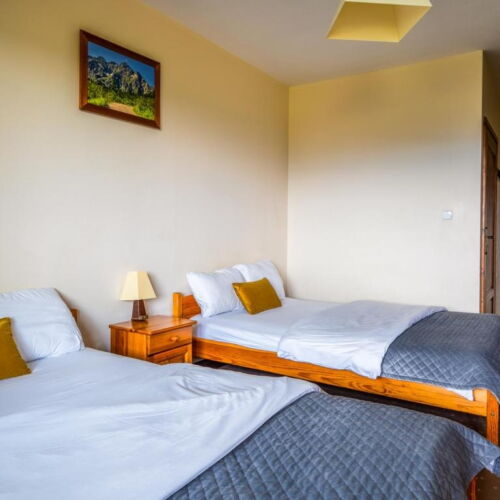 Mountain View Twin Room