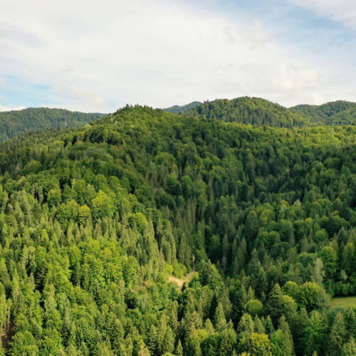 Camera dubla la etaj cu vedere spre munte