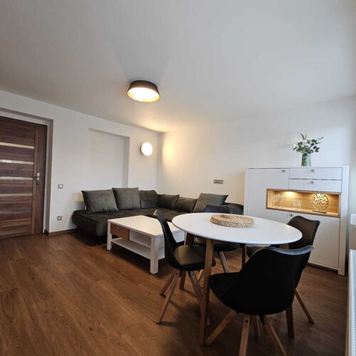 2-Room Apartment for 4 Persons with Shower and Kitchen