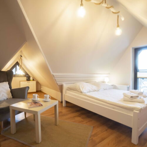 Camera dubla la mansardă cu vedere spre munte