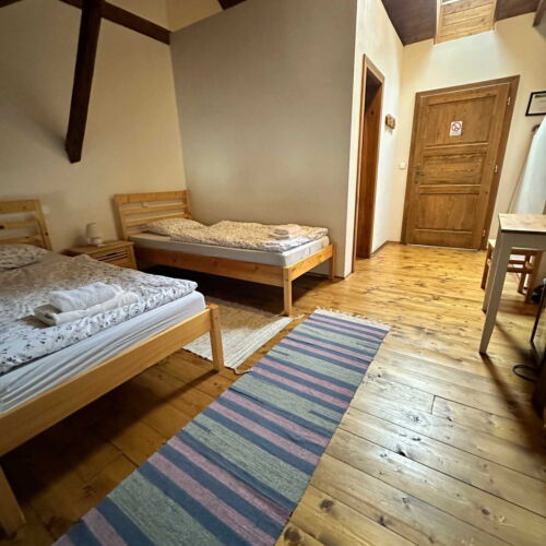 Mansard Twin Room with Shower