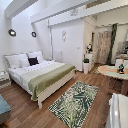 Apartament la parter cu vedere spre cetate cu 1 camera pentru 3 pers.